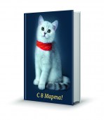 44_имитация книжки